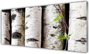 Szkło do Kuchni na Ścianę Sylwetka Starego Drzewa