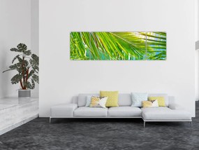 Obraz - Liście palmowe (170x50 cm)