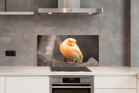 Panel szklany do Kuchni Papuga na Suchej Gałęzi