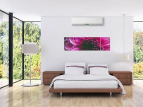 Obraz różowego kwiatu róży (170x50 cm)