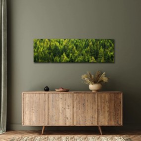 Obraz - Gęsty las (170x50 cm)