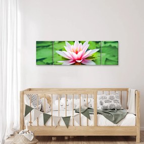 Obraz lilii wodnej na powierzchni (170x50 cm)