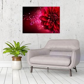 Obraz na szkle - czerwone kwiaty (70x50 cm)