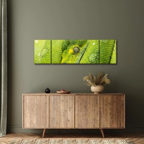 Obraz węża (170x50 cm)
