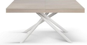 Stół drewniany, wiąz perłowy, podstawa biała, wym.140x90-220x90cm - CARRARA