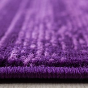 Ciemnofioletowy chodnik 80x300 cm Plus – Ayyildiz Carpets