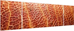 Obraz - Szczegóły tekstury (170x50 cm)