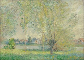 Obraz na szkle - Claude Monet, The Willows, reprodukcje (70x50 cm)