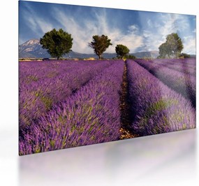 Obraz na szkle - Pole lawendy i góry (70x50 cm)