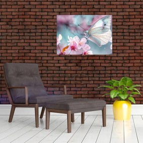 Obraz na szkle - Motyl na drzewie wiśni (70x50 cm)