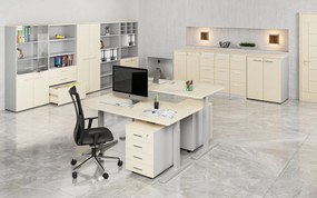 Szafa biurowa z drzwiami niskimi PRIMO GRAY, 800 x 500 x 1781 mm, szary/brzoza