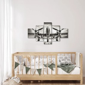 Obraz - Warbird (125x70 cm)
