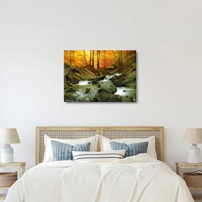 Obraz - Las (70x50 cm)