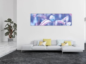 Obraz - Motyle zimą (170x50 cm)