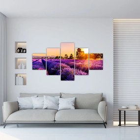 Obraz lawendowego pola (125x70 cm)