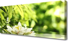 Obraz na płótnie Duet Kwiatu i Liści