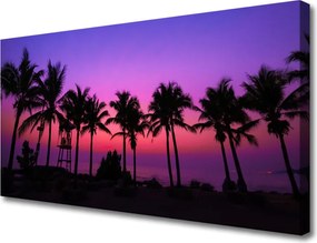 Fotoobraz na płótnie Palmy w Tropikalnym Słońcu