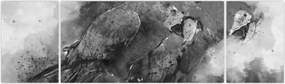Obraz - Papugi akwarelowe (170x50 cm)