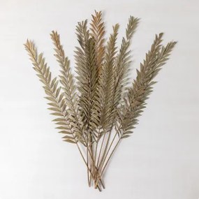 Pakiet 10 Suchych Gałązek Dekoracyjnych Sarat Bamboo Green - Sklum