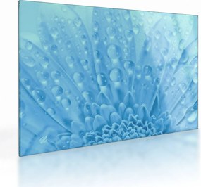 Obraz na szkle - Ujęcie makro kwiatu (70x50 cm)