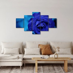 Obraz niebieskiej róży (125x70 cm)