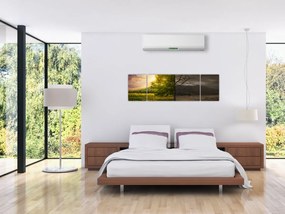 Obraz - Cykl życia (170x50 cm)