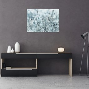 Obraz - Magia zimy (70x50 cm)