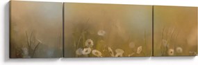 Obraz - Obraz olejny stokrotek (170x50 cm)