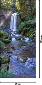 Fototapeta do drzwi - Australijski las deszczowy (95x205cm)
