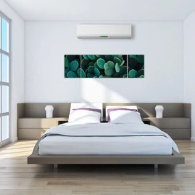 Obraz - Opuncja (170x50 cm)