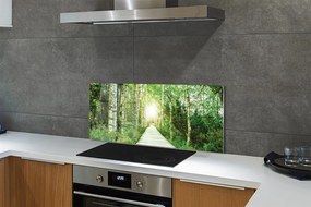 Szklany Panel Droga przez Las Brzozowy