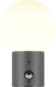 Lampa zewnętrzna ścienna z czujnikiem ruchu ø 18 cm Mures – Trio