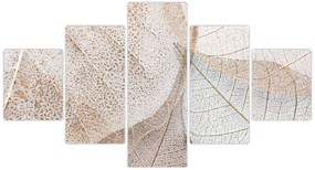 Obraz - Beżowe liście (125x70 cm)