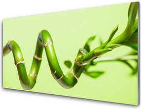 Szkło do Kuchni na Ścianę Świeże Pędy Zielonego Bambusa