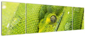 Obraz węża (170x50 cm)