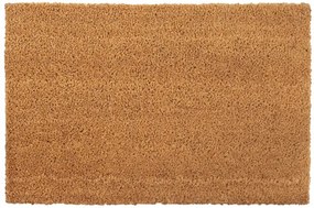 Naturalna wycieraczka pod drzwi 50x80 cm Z0-C17