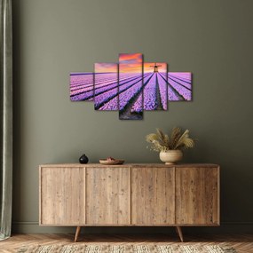 Obraz - farma kwiatów (125x70 cm)