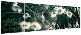 Obraz - Pajęczyna (170x50 cm)