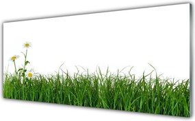 Panel Kuchenny Delikatność Polnej Trawy