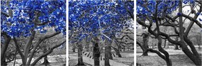 Obraz - Niebieskie drzewa, Central Park, New York (z zegarem) (90x30 cm)