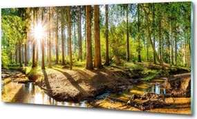 Foto obraz szkło hartowane Panorama las