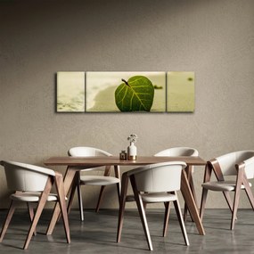 Obraz liścia w piasku (170x50 cm)
