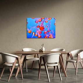 Obraz na szkle meduz w morzu (70x50 cm)