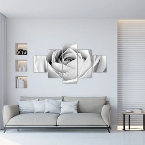 Obraz - Detal kwiatu róży (125x70 cm)