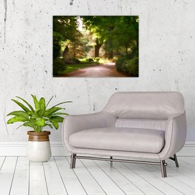 Obraz na szkle - park (70x50 cm)