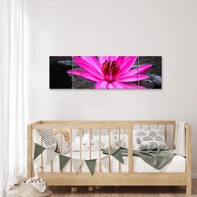 Obraz - różowy kwiat (170x50 cm)