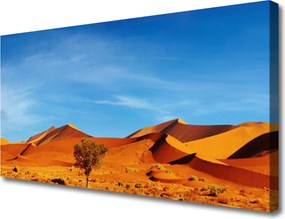 Duży obraz na płótnie Piaszczyste Wzgórza Pustyni