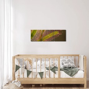 Obraz rośliny (z zegarem) (90x30 cm)