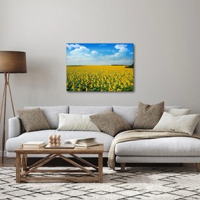 Obraz - ciąg słoneczników (70x50 cm)