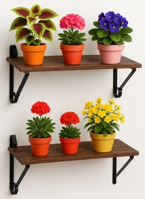 Komplet 2 brązowych półek wiszących na kwiaty L5-H80